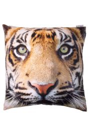 Poduszka z wypenieniem 50 x 50cm Tygrys