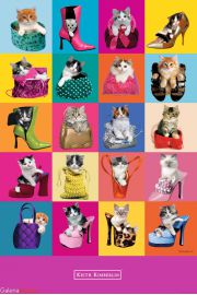 Kotki w Butach Keith Kimberlin - plakat