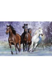 Bob Langrish - Uciekajce Konie - plakat 91,5x61 cm