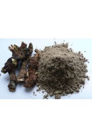 Bojho (Calamus aromaticus) - tatarak zwyczajny