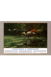 Dinozaury - Zaurolof i Tarbozaur - plakat 91,5x61 cm