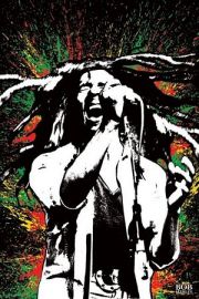Bob Marley Paint Splash - plakat