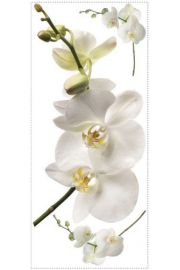 Biaa orchidea - naklejki wielokrotnego uytku