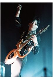 Prince Birmingham 1995 - plakat 59,4x84,1 cm