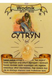 Amulet zodiakalny - Wodnik - CYTRYN