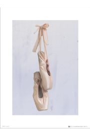 Ballet Shoes - plakat premium 30x40 cm