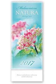 Kalendarz cienny 2017 TW 2 Malownicza natura trjdzielny