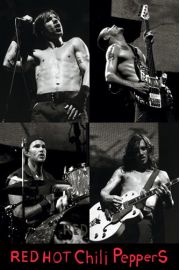 Red Hot Chili Peppers Live - plakat