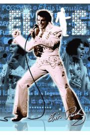 Elvis Presley - plakat 3D 47x67 cm
