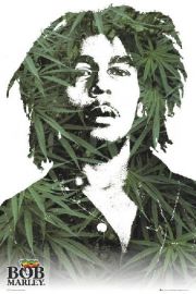 Bob Marley Licie Marihuany - plakat 61x91,5 cm