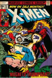 X-Men Magneto - plakat