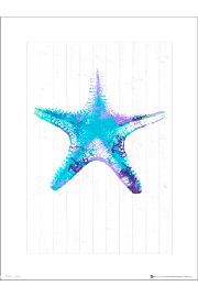 Seaside Starfish Blue - plakat premium 40x50 cm