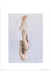 Ballet Shoes - plakat premium 40x50 cm