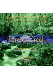 (e) Birds & Streams vol. 1: Forest Creek - Piotr Janeczek