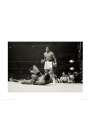 Muhammad Ali Knockout - plakat premium