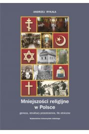 eBook Mniejszoci religijne w Polsce. Geneza, struktury przestrzenne, to etniczne pdf