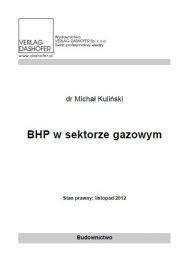 eBook BHP w sektorze gazowym pdf