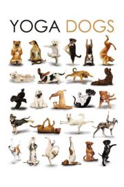 Joga - Zabawne Figury - Psy - plakat