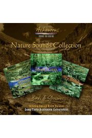 Zestaw 3 czci „Nature Sounds Collection: Birds & Streams”