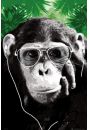 Steez Monkey - Mapa w Okularach - plakat 61x91,5 cm