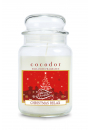 Cocodor wieca zapachowa Christmas Relax PCA30457 550 g