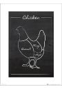Chicken Chalk Portrait - plakat premium 30x40 cm