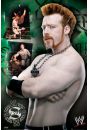 WWE Wrestling Seamus - plakat
