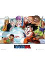Dragon Ball Walka - plakat 50x40 cm