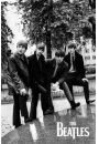 The Beatles - zdjcie w Parku - plakat