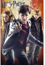 Harry Potter Trio - plakat 61x91,5 cm
