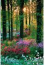 Lene Kwiaty - Flower Forest - plakat 61x91,5 cm