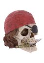 Dekoracyjna czaszka - Pirat z noem