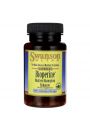 Swanson BioPerine 10 mg Suplement diety 60 kaps.