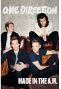One Direction Made In The A.M. - plakat