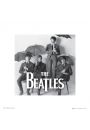 The Beatles Parasole - plakat premium 40x40 cm