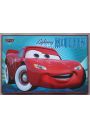 Disney Cars custom Auta - plakat 91,5x61 cm
