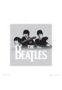 The Beatles Zesp - plakat premium 40x40 cm