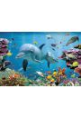 Delfin - Rafa Koralowa - Tropikalne Morze - plakat 91,5x61 cm