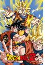 Dragon Ball Z Goku - plakat 61x91,5 cm