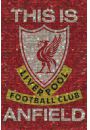FC Liverpool Mozaika - plakat