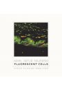 eBook Fluorescent cells. Confocal microscope images album pdf