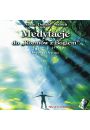 Medytacje do Rozmw z Bogiem - ksiga 2 - pyta CD audio