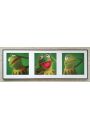 The Muppets Kermit aba - plakat premium 95x33 cm