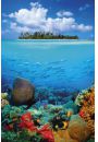 Tropikalna Wyspa i Rafa Koralowa - plakat 61x91,5 cm