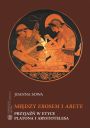 eBook Midzy Erosem a Arete. Przyja w etyce Platona i Arystotelesa pdf