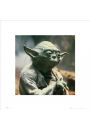 Gwiezdne Wojny Star Wars yoda - plakat premium 40x40 cm