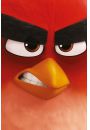 Angry Birds Red - plakat 61x91,5 cm