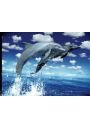 Delfiny - plakat 3D 42x29,7 cm