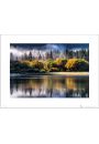 Forest Autumn Light - plakat premium 40x30 cm