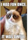 Grumpy Cat Kot Zrzda - plakat